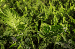 Kamar Business Center is an upscale class A office building in the city center of Yerevan, Armenia.